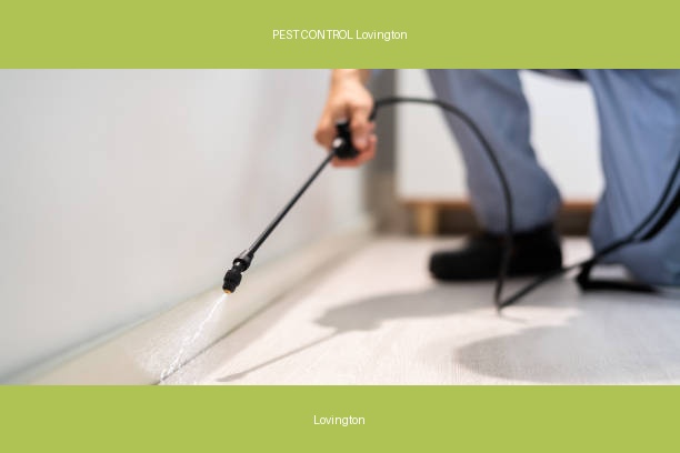 PEST CONTROL Lovington